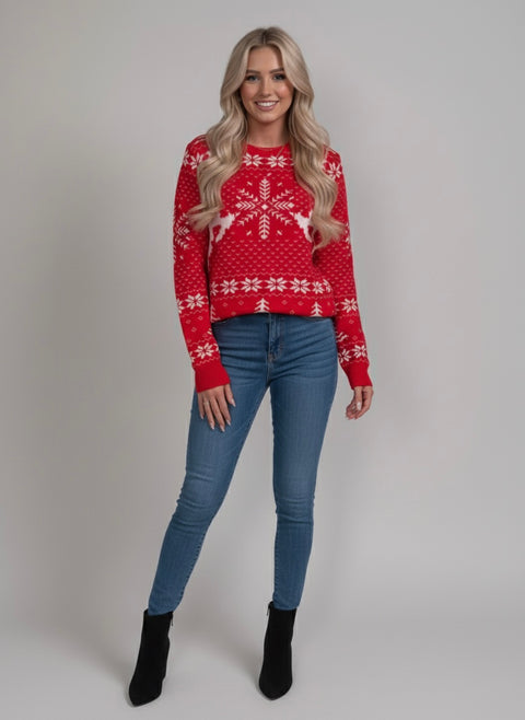 Christmas Reindeer & Snowflake Knit Sweater